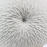 Living Green Decor White Rippled Mollusc Oceania Vase