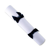 Crackers for Bonbons Snowfall Luxury Hand Made Christmas Crackers