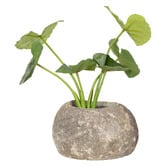 Alfresco Style Small Stone Bowl Planter