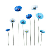 Alfresco Style 9 Piece Orana Poppy Garden Stake Set