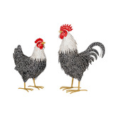 Alfresco Style 2 Piece Sanders Rooster &amp; Hen Garden Statue Set