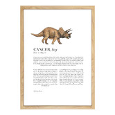 Tiny Tots Prints Zodiac Cancer Child Triceratops Printed Wall Art