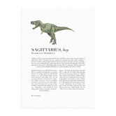 Tiny Tots Prints Zodiac Sagittarius Child T-Rex Printed Wall Art