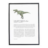 Tiny Tots Prints Zodiac Sagittarius Child T-Rex Printed Wall Art