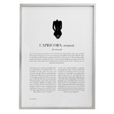 Tiny Tots Prints Capricorn Woman II Printed Wall Art