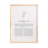 Tiny Tots Prints Zodiac Woman I Capricorn Printed Wall Art