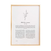 Tiny Tots Prints Zodiac Woman I Pisces Printed Wall Art