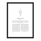 Tiny Tots Prints Zodiac Woman I Aries Printed Wall Art