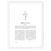 Tiny Tots Prints Zodiac Woman I Aries Printed Wall Art