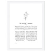 Tiny Tots Prints Zodiac Woman I Capricorn Printed Wall Art