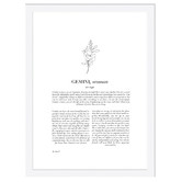Tiny Tots Prints Zodiac Woman I Gemini Printed Wall Art