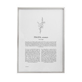 Tiny Tots Prints Zodiac Woman I Pisces Printed Wall Art