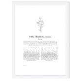 Tiny Tots Prints Zodiac Woman I Sagittarius Printed Wall Art