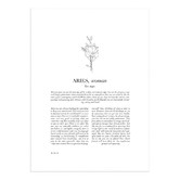 Tiny Tots Prints Zodiac Woman I Aries Printed Wall Art
