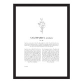 Tiny Tots Prints Zodiac Woman I Sagittarius Printed Wall Art