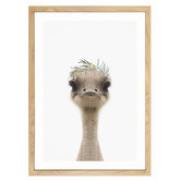 Tiny Tots Prints Baby Emu Eucalyptus Crown Printed Wall Art
