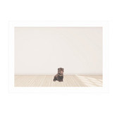 Tiny Tots Prints Baby Grizzly Bear Printed Wall Art