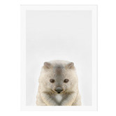 Tiny Tots Prints Baby Wombat Printed Wall Art