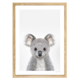 Tiny Tots Prints Baby Koala Printed Wall Art