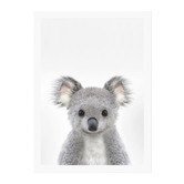 ArtyBub Baby Koala Printed Wall Art | Temple & Webster