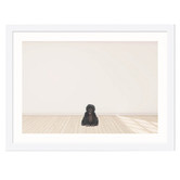 Tiny Tots Prints Baby Monkey Printed Wall Art