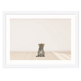 Tiny Tots Prints Baby Leopard Cub Printed Wall Art