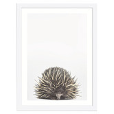 Tiny Tots Prints Baby Echidna Printed Wall Art