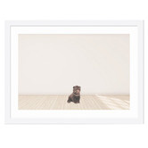 Tiny Tots Prints Baby Grizzly Bear Printed Wall Art