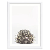 Tiny Tots Prints Baby Echidna Rose Crown Printed Wall Art