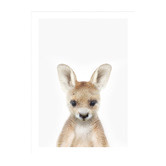 Tiny Tots Prints Baby Kangaroo Printed Wall Art