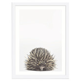 Tiny Tots Prints Baby Echidna Daisy Crown Printed Wall Art