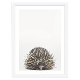 Tiny Tots Prints Baby Echidna Eucalyptus Crown Printed Wall Art