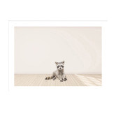 Tiny Tots Prints Baby Raccoon Printed Wall Art