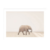 Tiny Tots Prints Baby Elephant Printed Wall Art