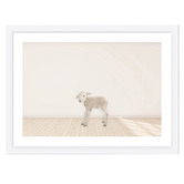 Tiny Tots Prints Baby Lamb Printed Wall Art