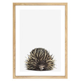 Tiny Tots Prints Baby Echidna Printed Wall Art