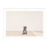 Tiny Tots Prints Baby Leopard Cub Printed Wall Art