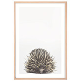 Tiny Tots Prints Baby Echidna Daisy Crown Printed Wall Art
