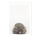 Tiny Tots Prints Baby Echidna Printed Wall Art