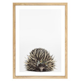 Tiny Tots Prints Baby Echidna Eucalyptus Crown Printed Wall Art
