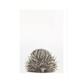 Tiny Tots Prints Baby Echidna Daisy Crown Printed Wall Art