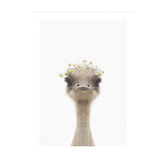 Tiny Tots Prints Baby Emu Daisy Crown Printed Wall Art