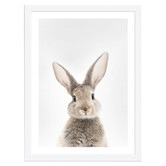 Tiny Tots Prints Bunny Rabbit Printed Wall Art