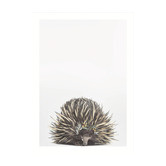 Tiny Tots Prints Baby Echidna Eucalyptus Crown Printed Wall Art