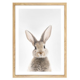 Tiny Tots Prints Bunny Rabbit Printed Wall Art