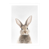 Tiny Tots Prints Bunny Rabbit Printed Wall Art