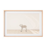 Tiny Tots Prints Baby Lamb Printed Wall Art