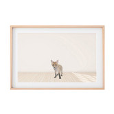 Tiny Tots Prints Baby Fox Printed Wall Art
