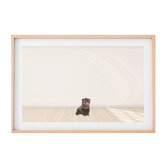 Tiny Tots Prints Baby Grizzly Bear Printed Wall Art