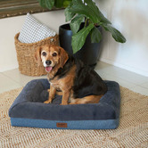 Kazoo Wombat Pet Bed